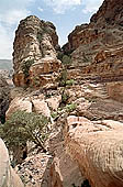 Petra - the walk which climbs up to the Monastery 